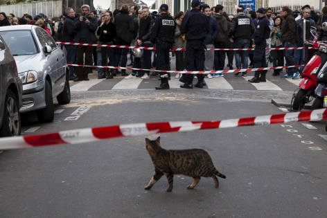  A cat passes along the cordoned off area outside the Carillon bar in Paris, France.